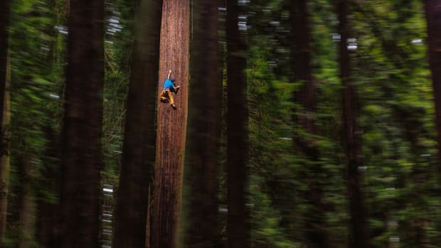 chris-sharma-freeclimbing-redwood-great-ascent-960.jpg